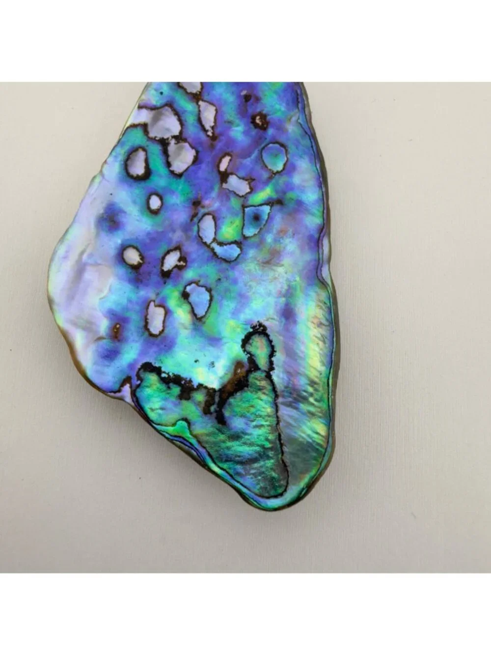 Natural Abalone Shell Pendant Necklace Silver Tone Chain Iridescent 24